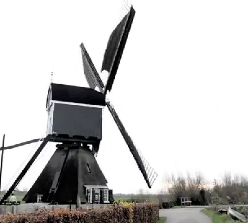 Thijs van Hoof en de Vlietmolen in Lexmond