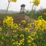 Molen Souburgh k