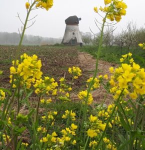 Molen Souburgh k