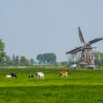 Achtkante Molen Streefkerk