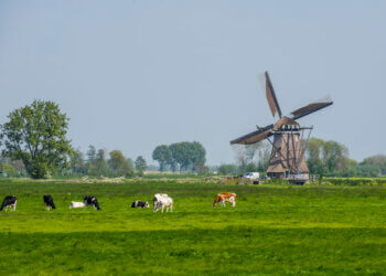 Achtkante Molen Streefkerk